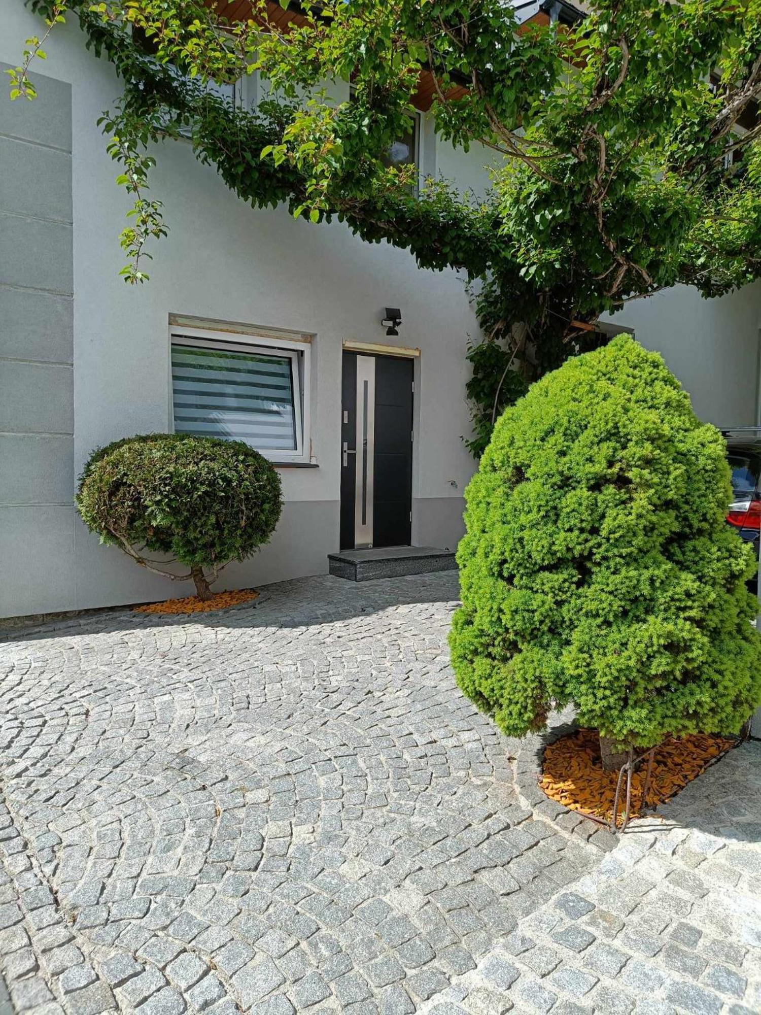 Kiwi Apartament Muszyna Dış mekan fotoğraf